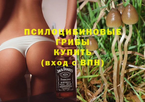 тгк Вязьма