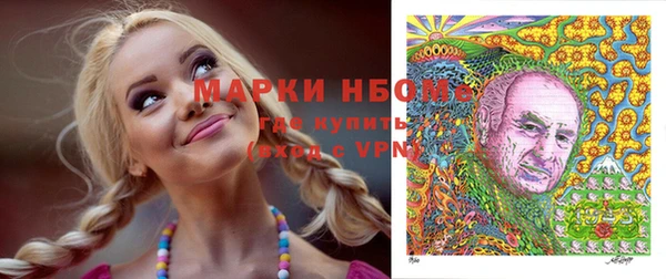 круглые Вяземский