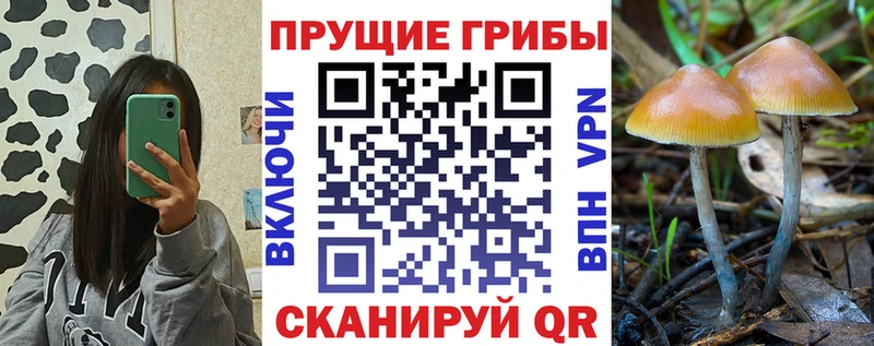 Псилоцибиновые грибы MAGIC MUSHROOMS  Купить  Корсаков 